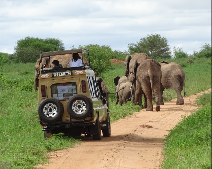 Safari personalizado Tanzania